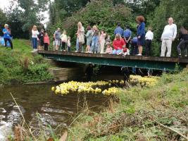 Image from Duck race 2021